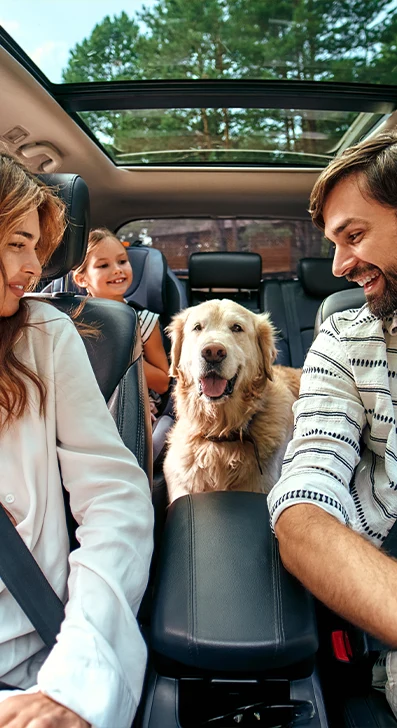 La place du chien dans la famille