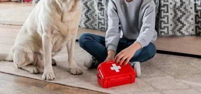 Trousse de premiers secours